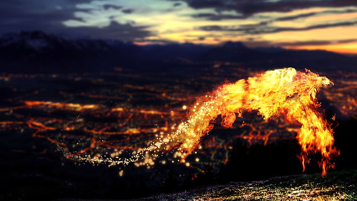 Feuerbildung auf Gewässer unter Himmel, digitale Kunst, Feuer, Tiere, HD-Hintergrundbild