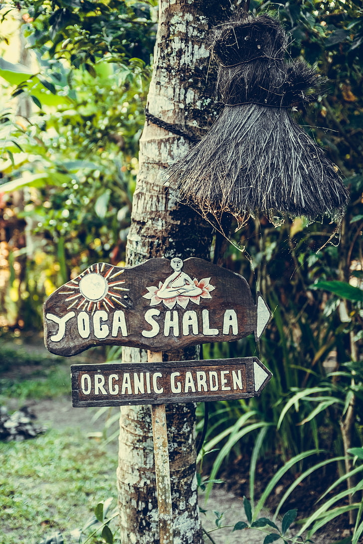 Йога Шала надписи, йога, табела, градина, органични, дърво, HD тапет, тапет за телефон