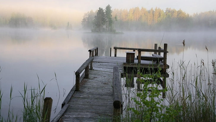 misty, lake, fog, pier, wood, water, reflection, morning, wetland, mist, tree, dock, HD wallpaper