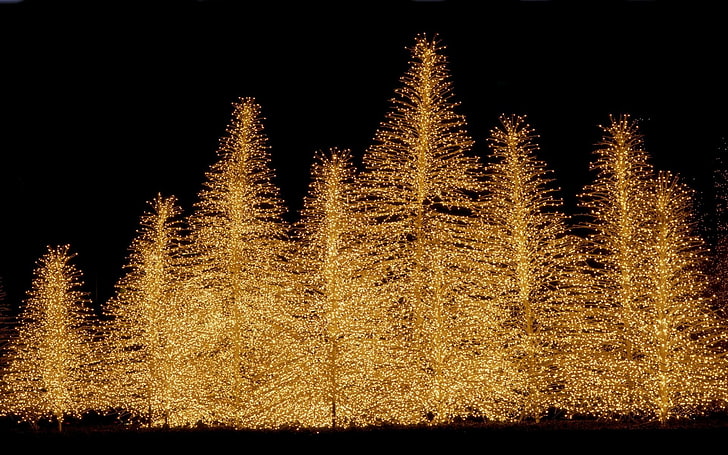 yellow leaf tree illustration, Holiday, Christmas, Christmas Lights, HD wallpaper