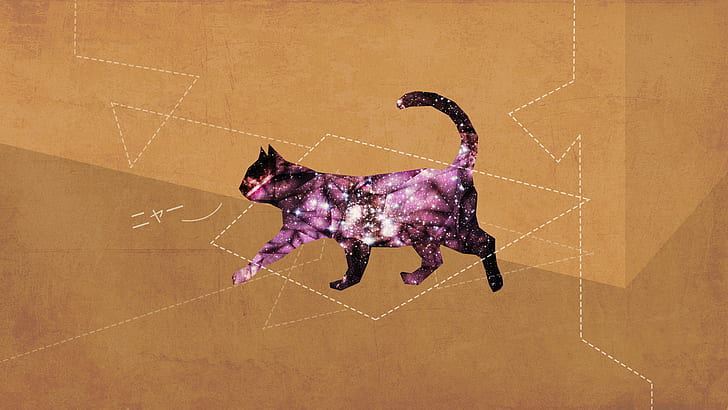 Cat Abstract HD, абстрактно, дигитално / произведения на изкуството, кат, HD тапет