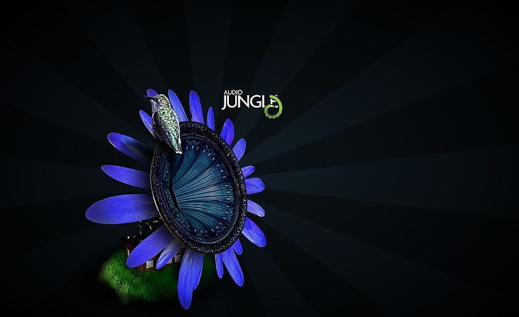 Bird On Flower Gramophone Audio Jungle ، توضيح زهرة أرجوانية ، Aero ، أسود ، زهرة ، طائر ، صوت ، غابة ، غراموفون، خلفية HD