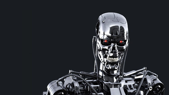 Terminator, Der Terminator, T-800, HD-Hintergrundbild HD wallpaper