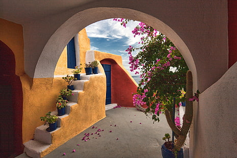 rosa bougainvillea, arkitektur, byggnad, Grekland, båge, trappor, blommor, kaktus, moln, bougainvillea, blomkruka, HD tapet HD wallpaper