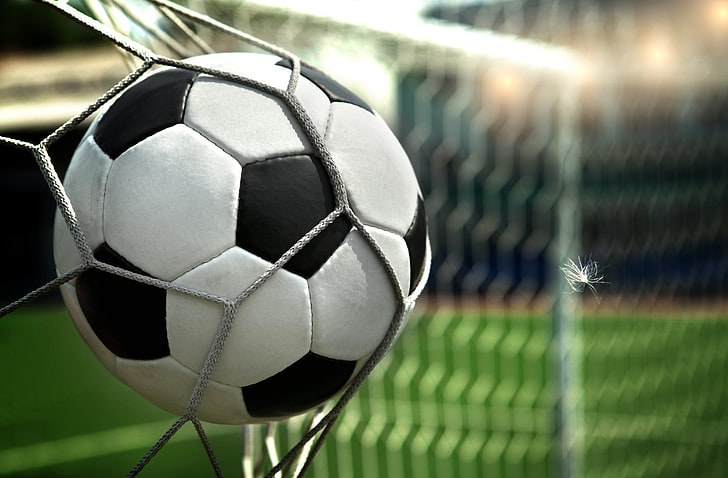 white and black soccer ball, mesh, football, the ball, gate, fluff, HD wallpaper