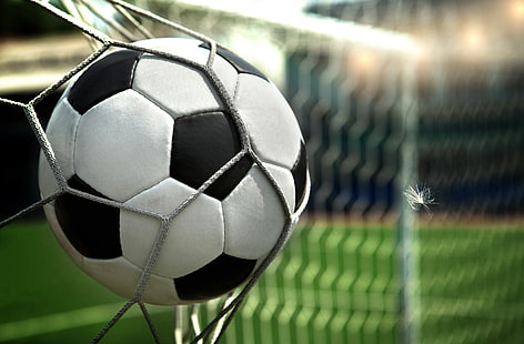 white and black soccer ball, mesh, football, the ball, gate, fluff, HD wallpaper HD wallpaper