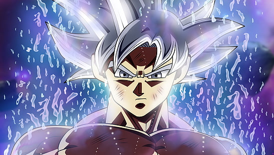 Son Goku, Dragon Ball, Super Dragon Ball, Goku, Ultra Instinct (Dragon Ball), HD-Hintergrundbild HD wallpaper