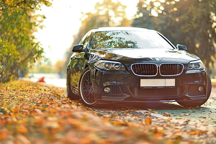 autumn, leaves, tuning, BMW, F10, 550, Drive, HD wallpaper