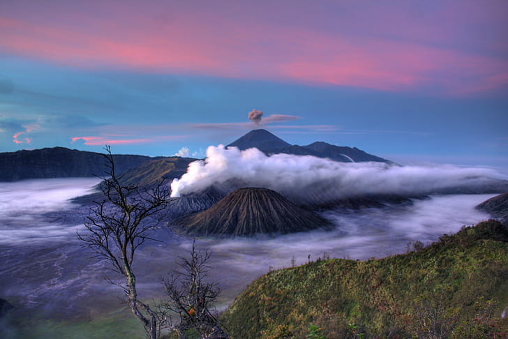 bladlöst träd och vulkanvy, Gunung Bromo, HDR, träd, utsikt, vulkankrater, java, indonesien, natur, vulkan, berg, landskap, utbrott, HD tapet