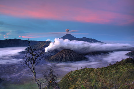 leafless tree and volcano view, Gunung Bromo, HDR, tree, view, volcano  crater, java, indonesia, nature, volcano, mountain, landscape, erupting, HD wallpaper HD wallpaper