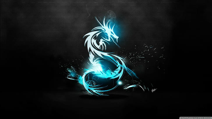 digitale Tapete des weißen und blauen Drachen, Drache, HD-Hintergrundbild