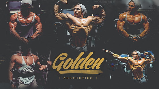 colagem de camiseta cinza masculina, Artemus Dolgin, modelo de fitness, musculação, magro, HD papel de parede HD wallpaper