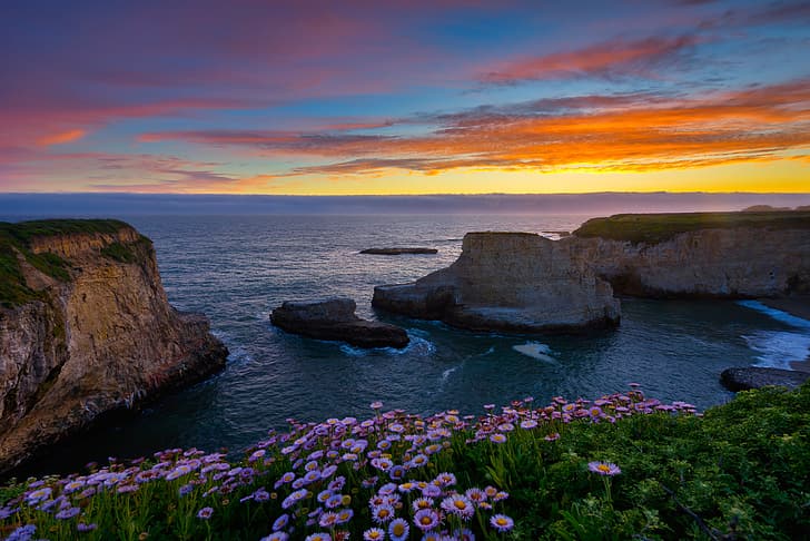 zachód słońca, kwiaty, ocean, skały, wybrzeże, CA, Ocean Spokojny, Kalifornia, Ocean Spokojny, Davenport, Shark Fin Cove, Nadmorskie oszczędności, Bay Shark's Fin, Tapety HD