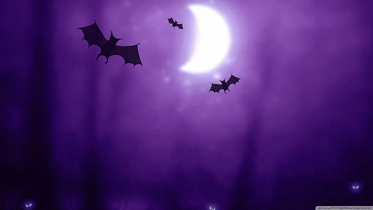 bats, drawings, halloween, moon, night, purple, silhouette, HD wallpaper