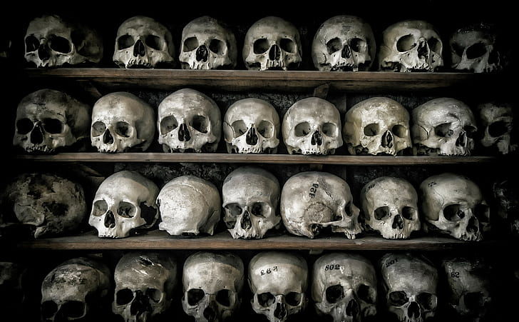 death, skull, bones, HD wallpaper
