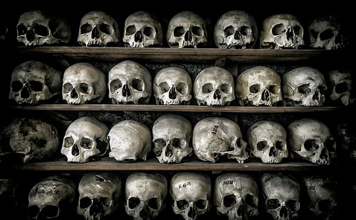 death, skull, bones, HD wallpaper HD wallpaper