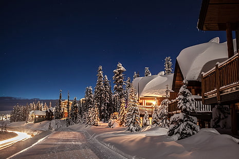 albero di Natale coperto di neve sfondo digitale, inverno, strada, neve, alberi, casa, mangiato, Canada, la neve, British Columbia, paesaggio invernale, Kelowna, Sfondo HD HD wallpaper