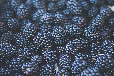 pile of black mulberry, blackberries, berries, ripe, blur, HD wallpaper HD wallpaper