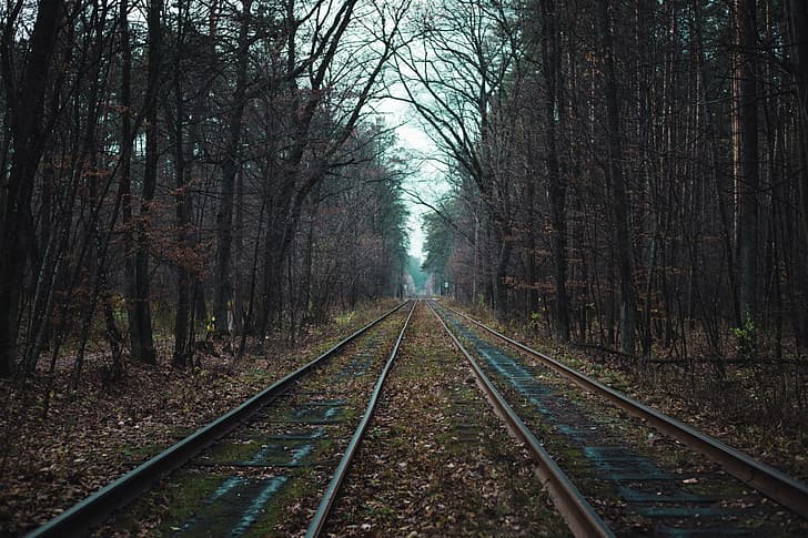 Russia, railroad track, forest, HD wallpaper