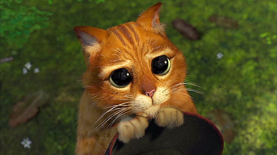 Ilustrasi karakter kucing Shrek, kucing, kucing, bergaris, terlihat sedih, Wallpaper HD HD wallpaper