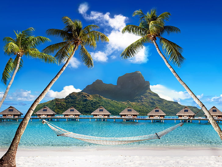 white and black hammock, sea, beach, tropics, palm trees, houses, summer, sunshine, ocean, paradise, vacation, palms, tropical, hut, HD wallpaper