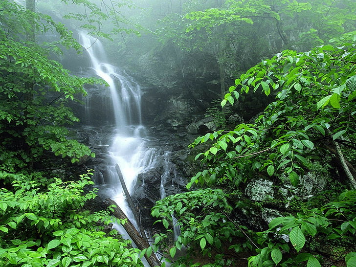 Wald, Bäche, Wasserfall, Natur, Landschaft, Felsen, HD-Hintergrundbild