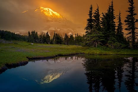 skog, berg, sjö, reflektion, glänta, åt, Washington, Mount Rainier, Kaskadbergen, Washington State, Cascade Range, HD tapet HD wallpaper