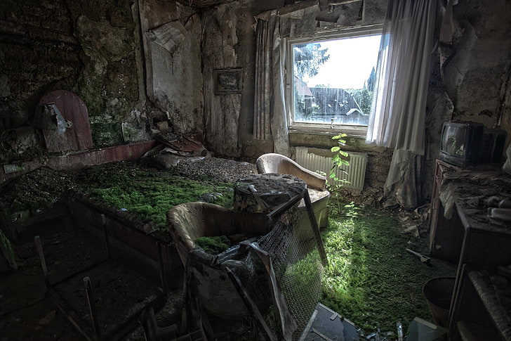 grama verde, ruínas, quarto, abandonado, HD papel de parede