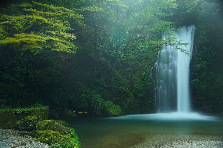 waterfalls and green leafed trees, forest, trees, waterfall, Japan, Fujinomiya, Shiraito Falls, HD wallpaper