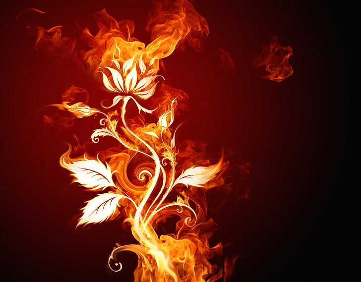 red flame rose flower digital wallpaper, flower, fire, HD wallpaper