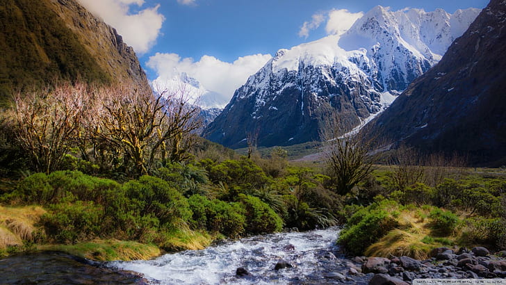 Gorgeous Mountain Stream, valley, bushes, rocks, mountains, stream, nature and landscapes, HD wallpaper