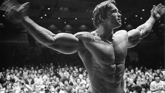 Arnold Schwarzenegger, musculação, Bodybuilder, Arnold Schwarzenegger, HD papel de parede HD wallpaper