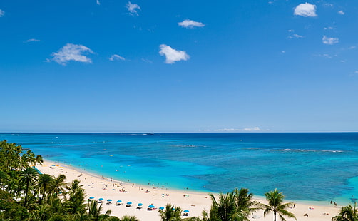 Waikiki Beach i Ocean Spokojny, zielone drzewa kokosowe, Podróże, Wyspy, woda, wakacje, plaża, oahu, hawaje, tropikalne, palmy, ciepłe, błękitne niebo, USA, czyste niebo, waikiki, ocean, Pacyfik, Honolulu, Tapety HD HD wallpaper