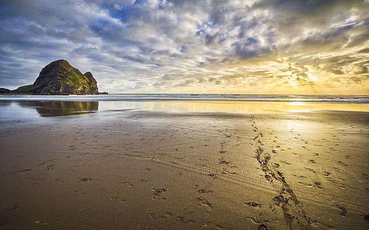 The Lies Piha, nota spiaggia per il surf sulla costa nord-occidentale dell'isola del nord della Nuova Zelanda, Sfondo HD