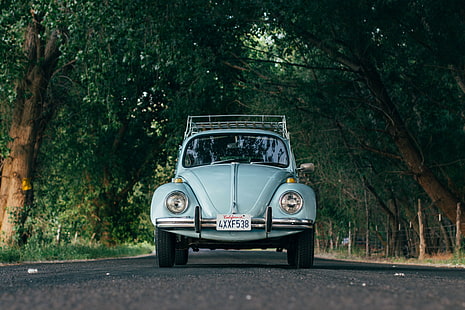 Volkswagen, carretera, California, árboles, Volkswagen Beetle, Fondo de pantalla HD HD wallpaper