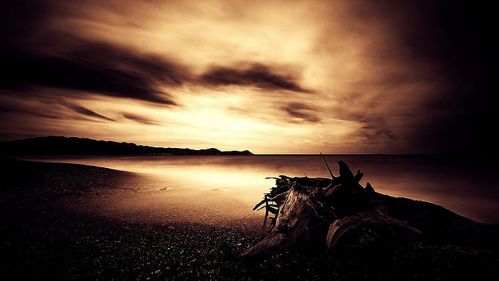 Deadwood 1920, silhouette photo of sea, shells, vast, mountains, haunting, driftwood, sepia, serene, shadow, seashore, clouds, soulless, 3d and, HD wallpaper