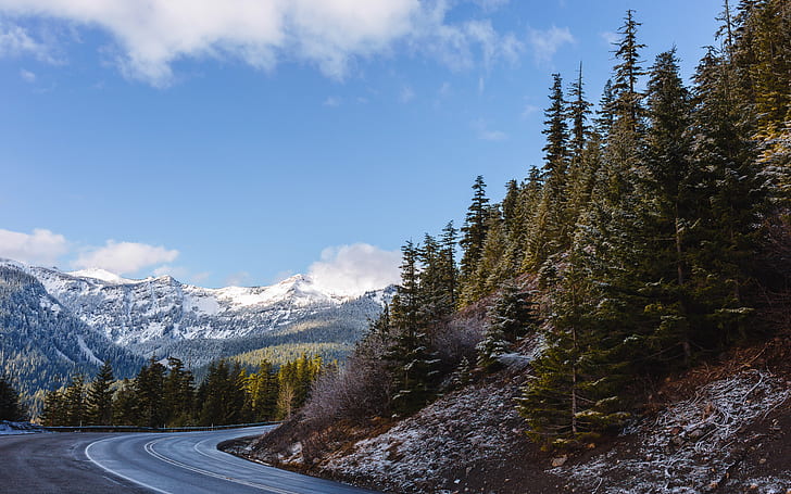 road beside green leaf pine trees under white and blue cloudy sky, Drive, road, green leaf, pine trees, white, cloudy, mountains, landscape, blue sky, trees, nature, scenic, scenery, Canon EOS 5D Mark III, Dual, ISO, Sigma, 35mm, F1.4, DG, HSM, ART, Pacific Northwest, Mt. Rainier National Park, westrock, washington, mountain, forest, outdoors, scenics, tree, travel, HD wallpaper