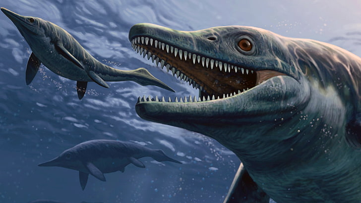 회색 고래, 그림, 미술, 선사 시대 바다 괴물, Thalattoarchon Saurophagis, ichthyosaurs 종, Calatoare, HD 배경 화면