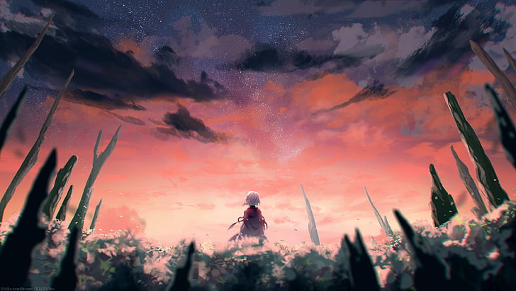 fondo de pantalla de anime, paisaje, cielo, rojo, puesta de sol, anime, estrellas, arte de fantasía, Fondo de pantalla HD