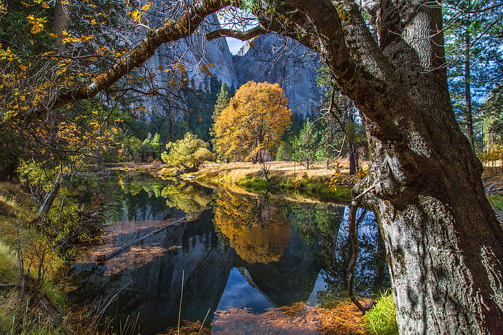 OSX, forest, 5k, 4k, mountains, Yosemite, apple, 8k, HD wallpaper
