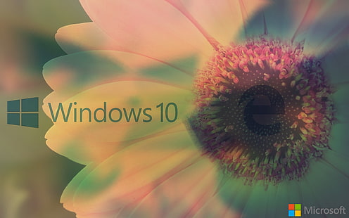 fönster, Microsoft Windows, Windows 10, MS-DOS, Windows XP, Windows Vista, HD tapet HD wallpaper