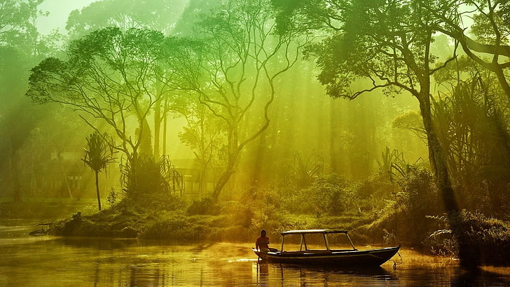 brown canoe, nature, boat, trees, water, landscape, HD wallpaper