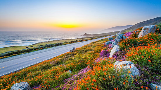 sunrise, road, california, usa, united states, wildflowers, sky, coast, HD wallpaper HD wallpaper