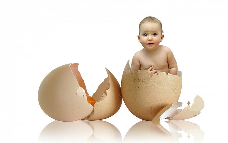 child, shell backgrounds, Egg, Funny, HD wallpaper