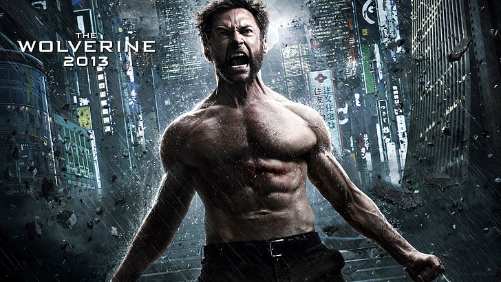 The Wolverine 2013 Movie HD Desktop Wallpaper 06, Wolverine 2013 poster, HD wallpaper