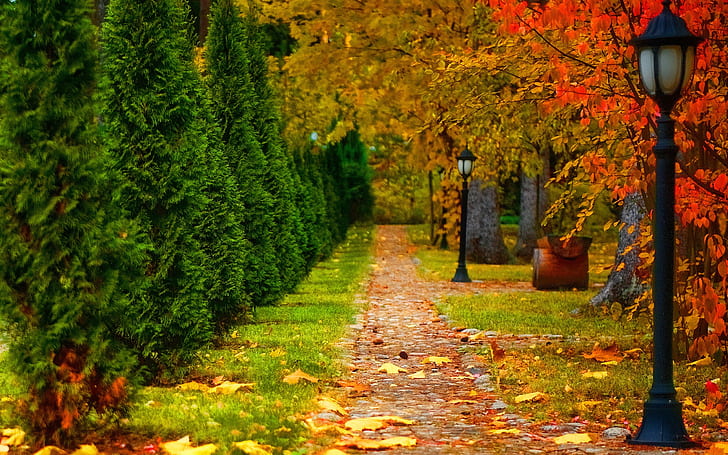 Парк, есен, път, дървета, фенер, листа, парк, есен, път, дървета, фенер, листа, HD тапет