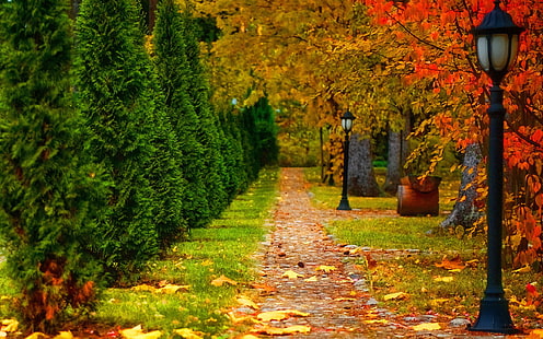 Парк, есен, път, дървета, фенер, листа, парк, есен, път, дървета, фенер, листа, HD тапет HD wallpaper