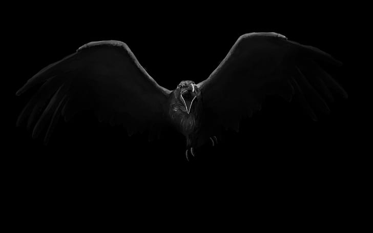 Crow Bird Black Drawing HD, цифровая / графика, черный, рисунок, птица, ворона, HD обои