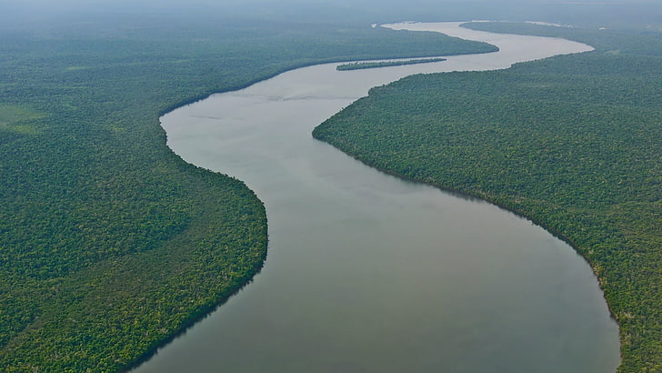 Nile river, river, Amazon, forest, nature, landscape, tropical forest, HD wallpaper