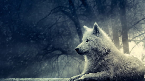 lobo blanco, lobo blanco tumbado en el suelo cerca del árbol, lobo, bosque, invierno, nieve, animales, obras de arte, Fondo de pantalla HD HD wallpaper